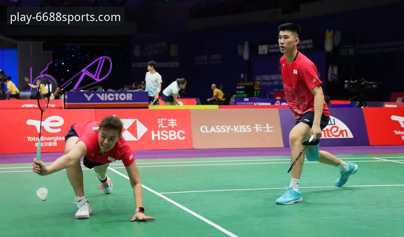 6688体育平台下载问题全面解析与解决方案